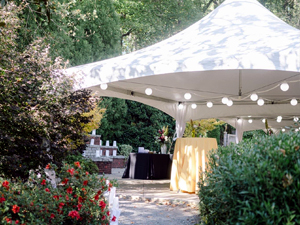 tent smWedding Tent on Pation